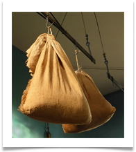 Hanging sacks P1060483 - Carol Sparkes